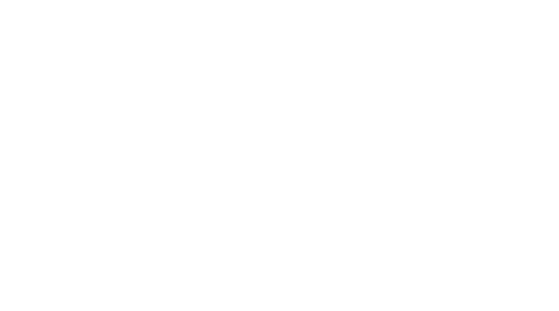 36Pix Logo White