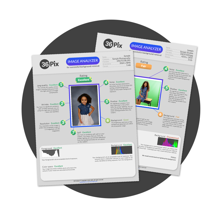 36Pix image analyzer report for optimal background removal